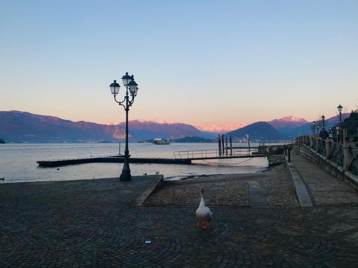 Vila Le Betulle Oggebio Exteriér fotografie