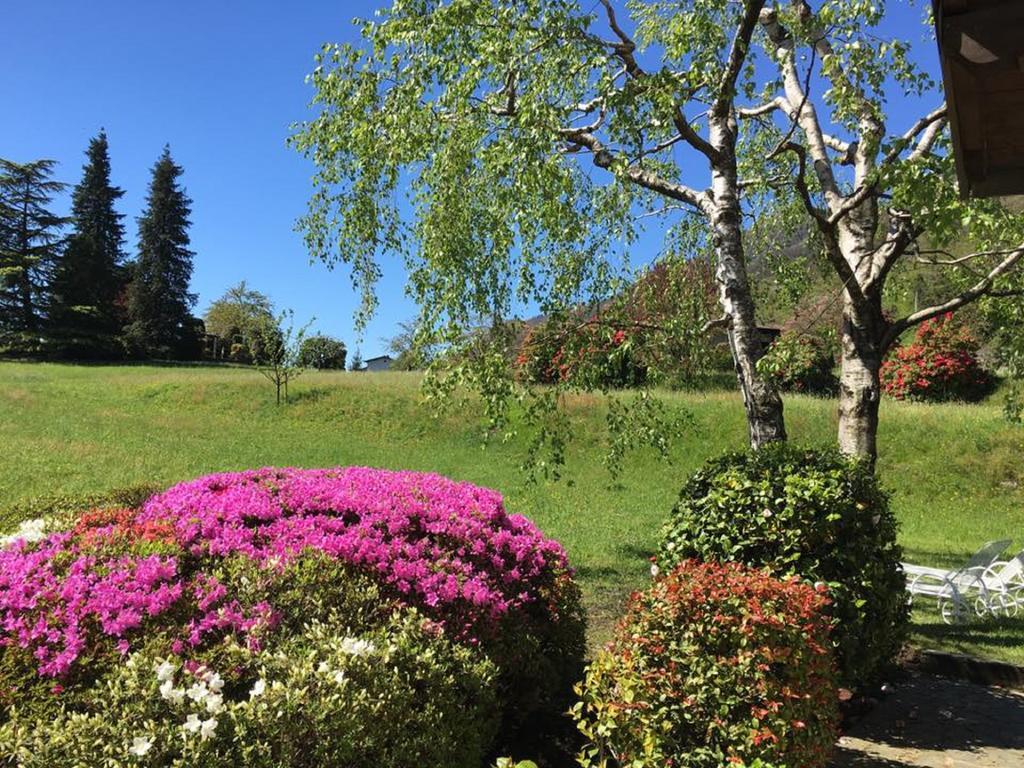 Vila Le Betulle Oggebio Exteriér fotografie