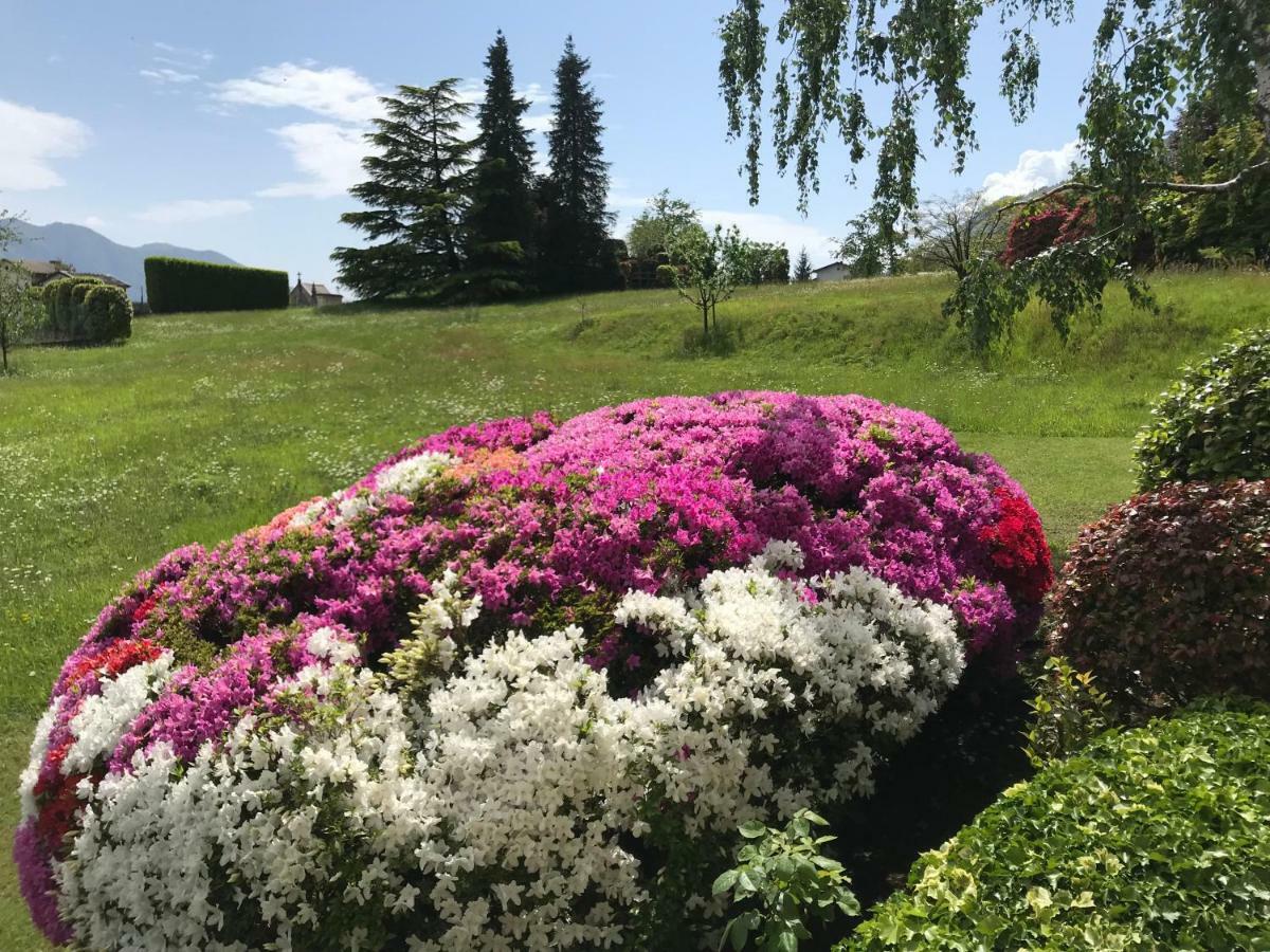 Vila Le Betulle Oggebio Exteriér fotografie