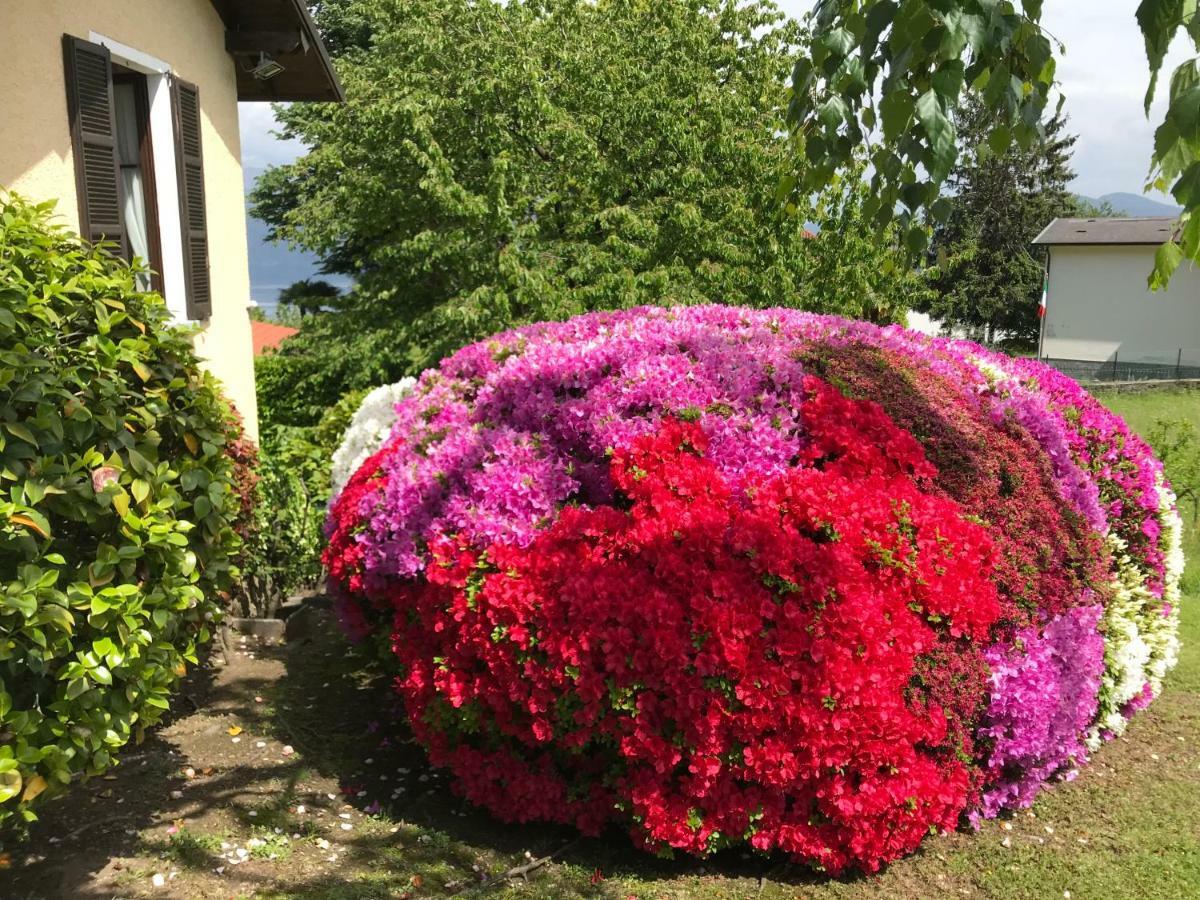 Vila Le Betulle Oggebio Exteriér fotografie