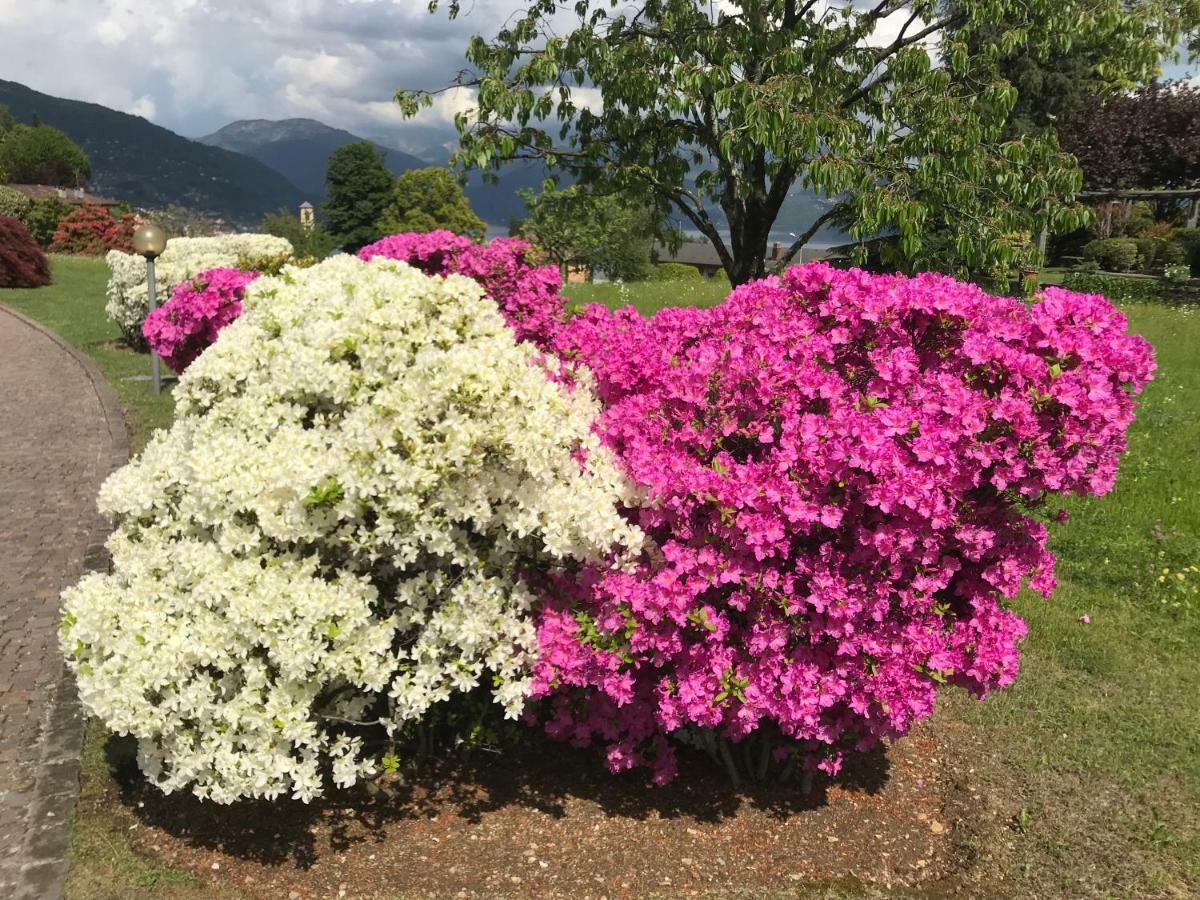 Vila Le Betulle Oggebio Exteriér fotografie